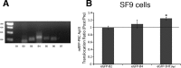 Fig 7