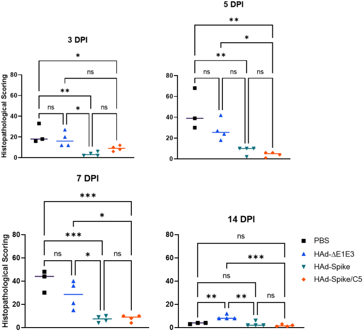 Figure 7