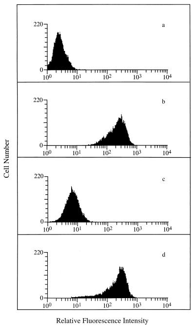 FIG. 1