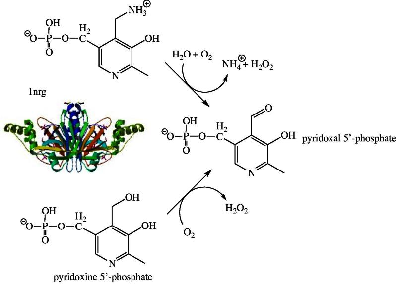 Fig. 3