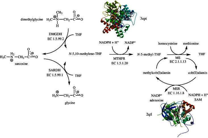 Fig. 1