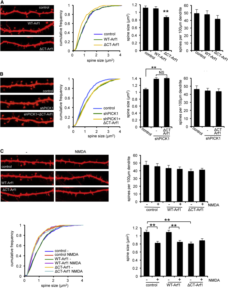 Figure 7