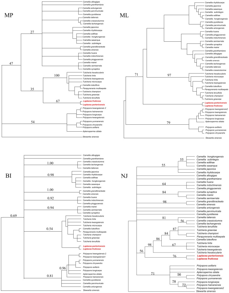 Figure 4