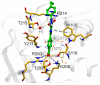 Figure 14