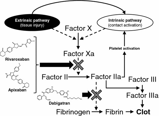 Fig. 1