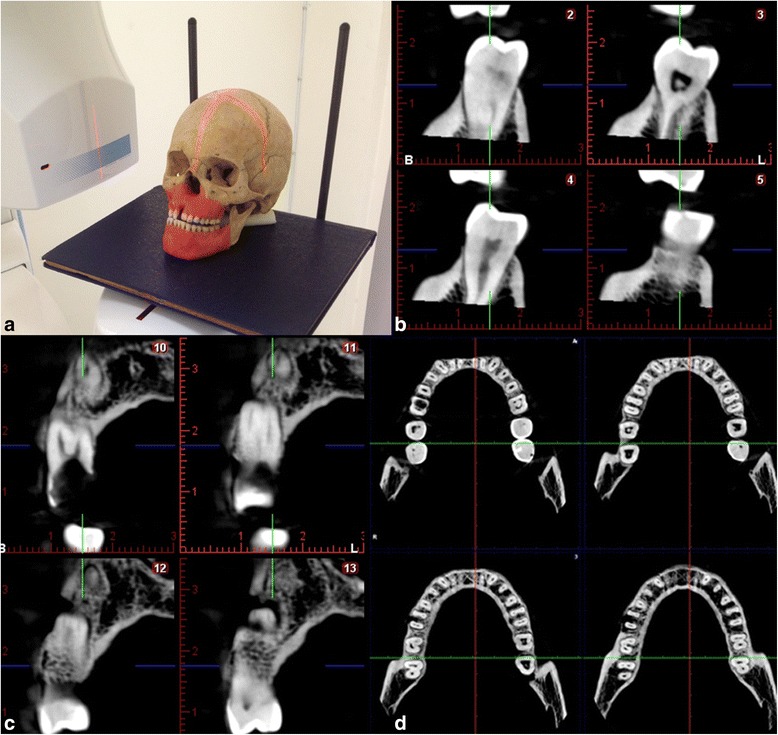 Fig. 3