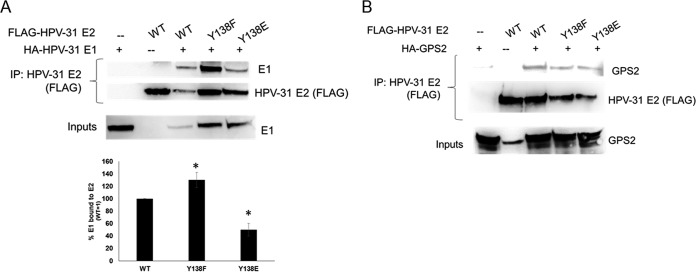 FIG 6