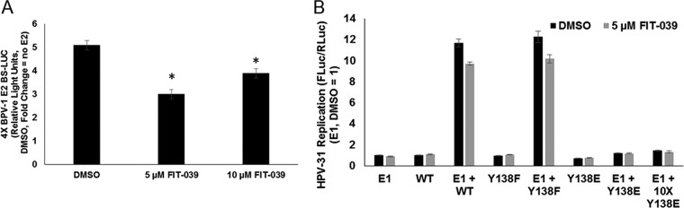 FIG 10