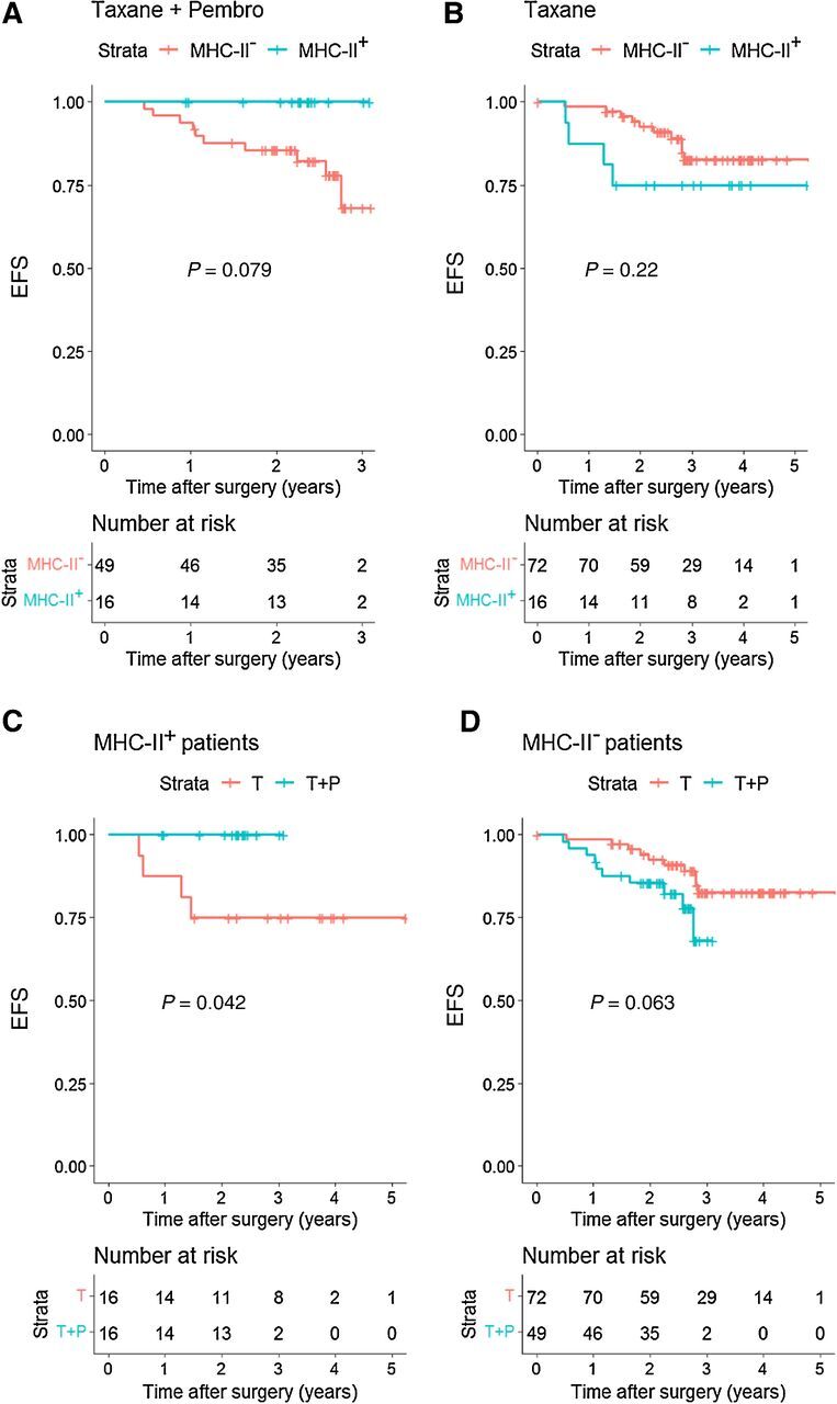 Figure 3. Tumor-specific MHC-II expression is associated with improved EFS in high-risk HER2− patients with the addition of anti–PD-1 inhibition to NAC, but not with NAC alone. A–D, Kaplan–Meier analysis of EFS for the NAC + pembrolizumab and NAC-alone arms of the I-SPY2 trial according to HLADR/DP/DQ/DX expression on tumor cells by RPPA. MHC-II+: tumors expressing ≥17,000 normalized units of pan–MHC-II. MHC-II−: <17,000 normalized units. The 17,000 units cut-off point was chosen based on a calibration study comparing RPPA with a 5% tumor-specific MHC-II cut-off point by mIF. P value represents the log–rank test.