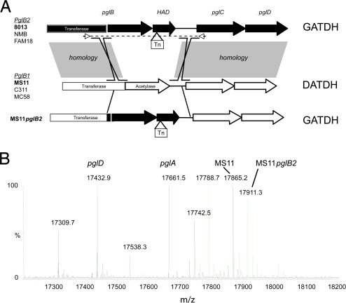 Fig. 4.