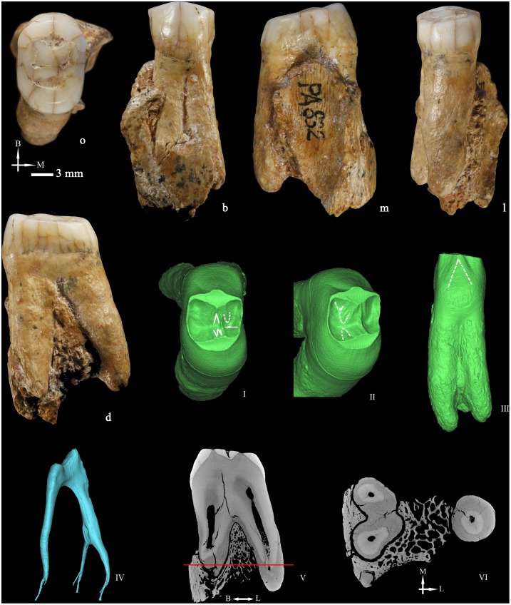 Figure 4