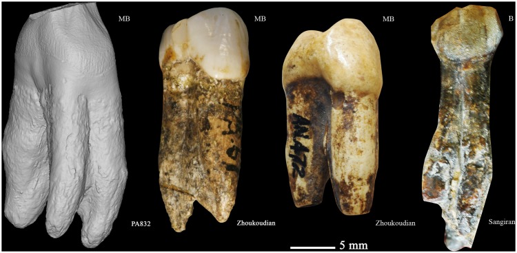 Figure 13