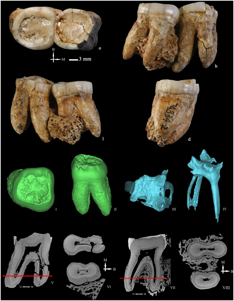 Figure 9