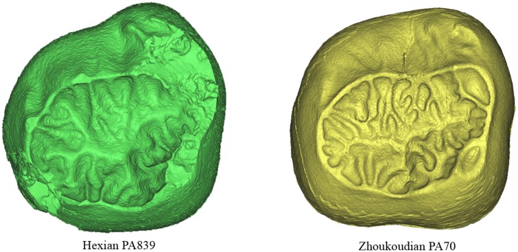 Figure 14