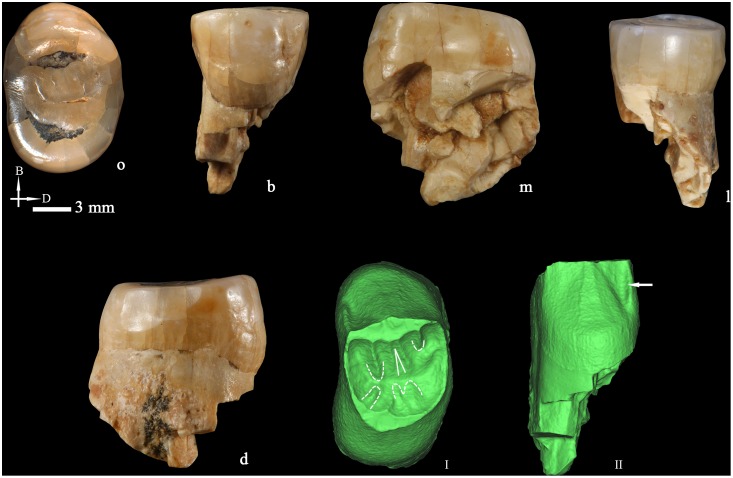 Figure 5