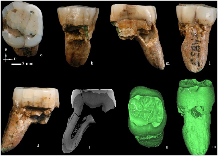 Figure 6