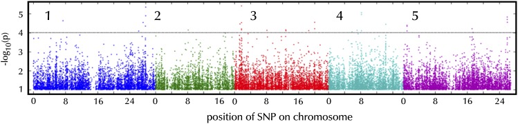 Figure 5.