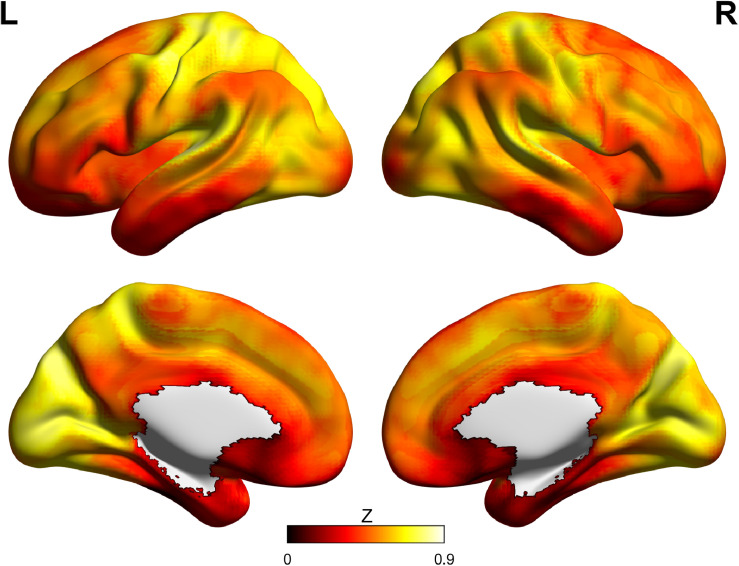 FIGURE 1