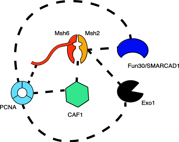 Figure 2.