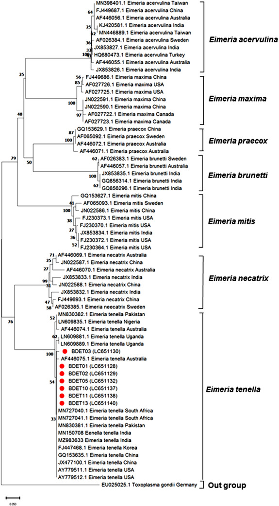 FIGURE 2