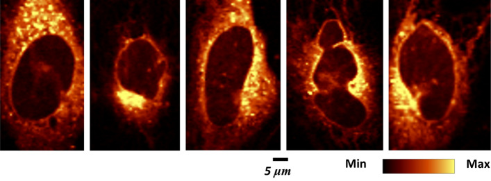 Fig. 2