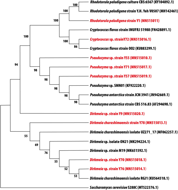 Fig. 1