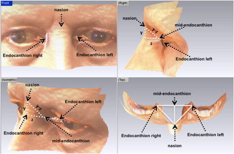 Figure 3