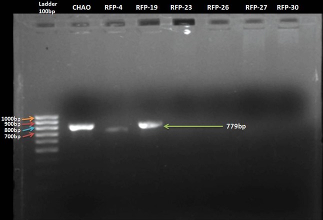 Fig. 1