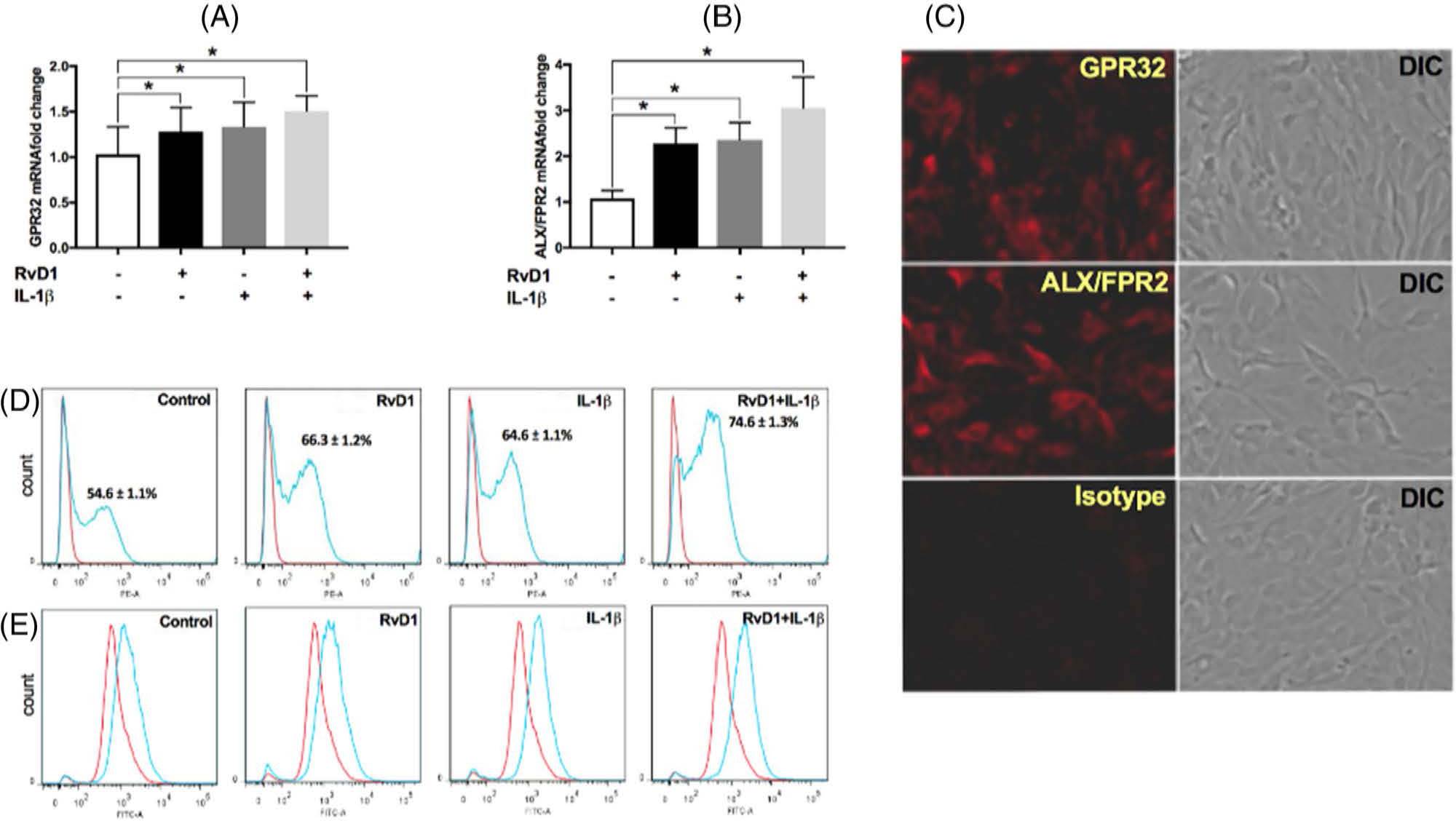 FIGURE 1