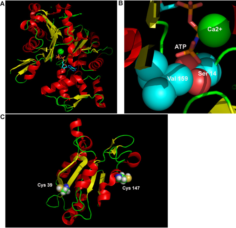 Figure 6.