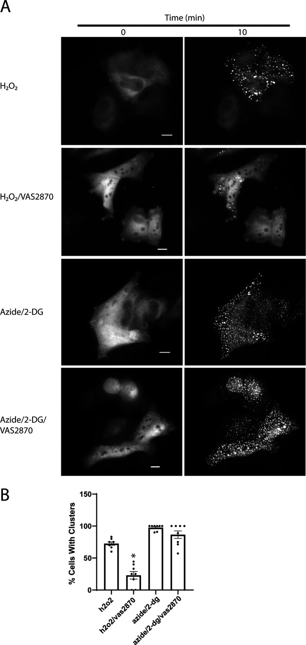 Figure 11.