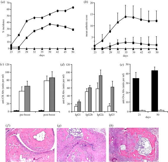 Figure 4.