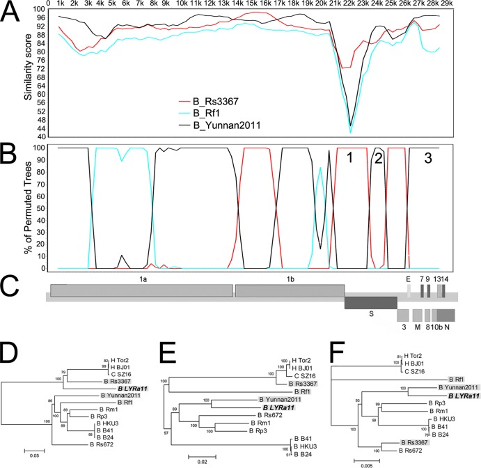 FIG 6