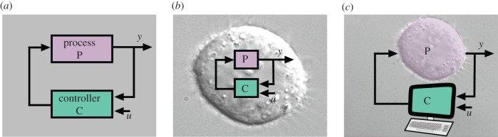 Figure 1.