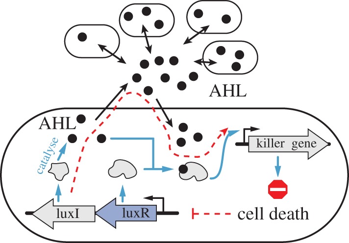 Figure 7.