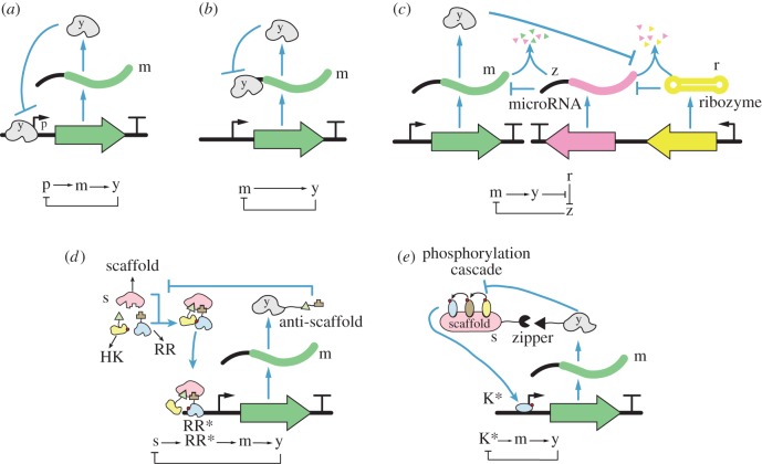 Figure 5.