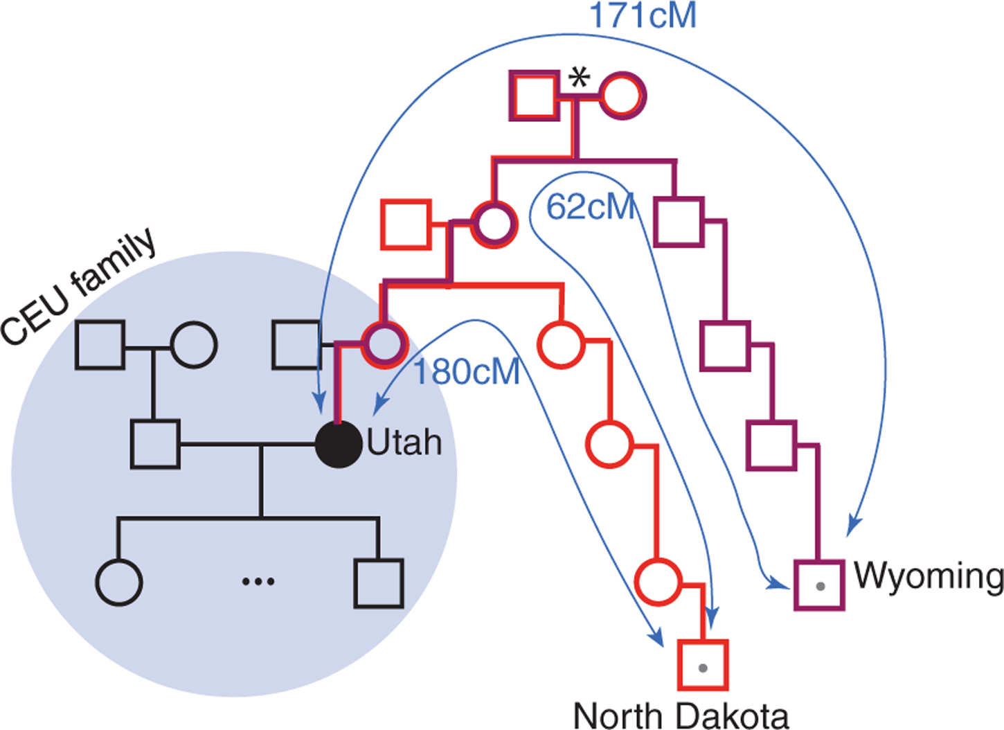 Fig. 3.