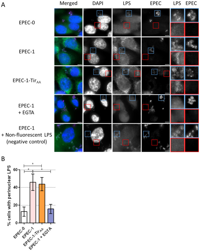 Fig 8