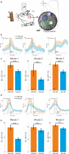 Figure 2—figure supplement 4.