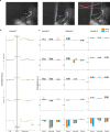 Figure 2—figure supplement 6.