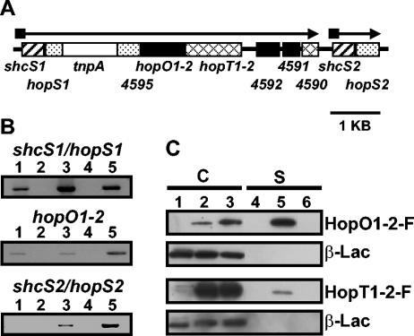 FIG. 2.