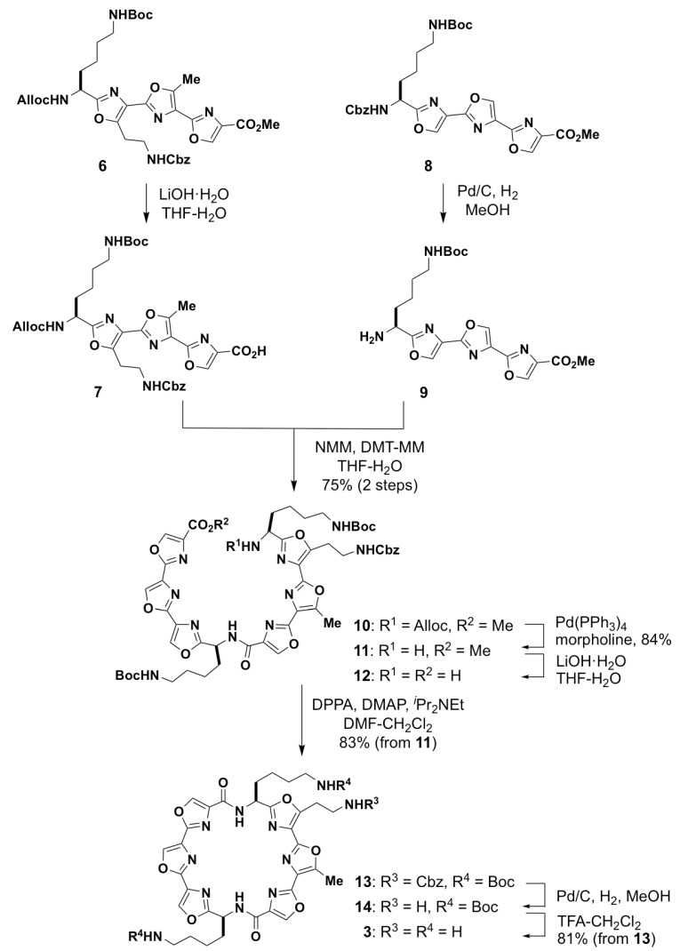 Scheme 1