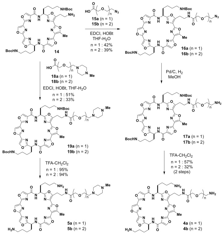 Scheme 2