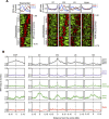 Figure 3—figure supplement 1.