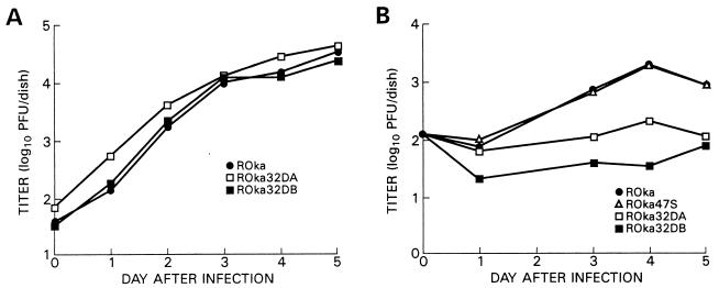 FIG. 7