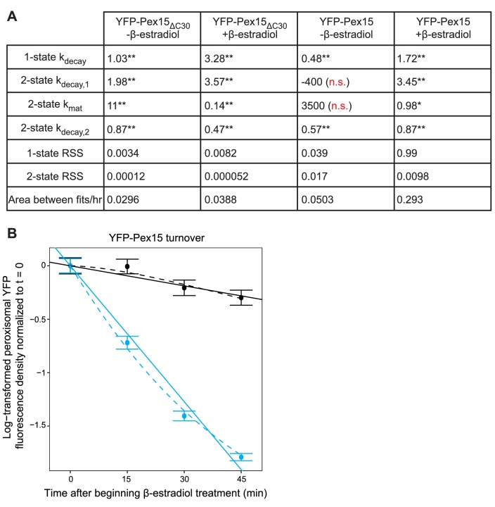 Figure 4—figure supplement 1.