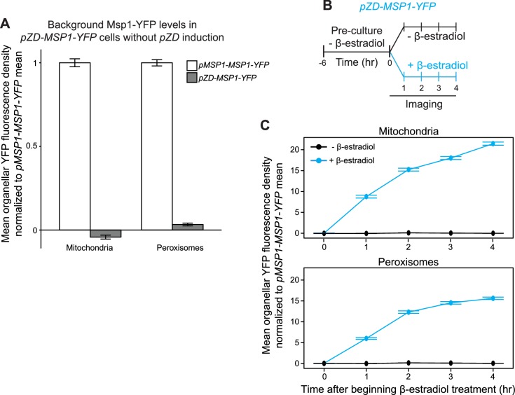 Figure 1—figure supplement 1.