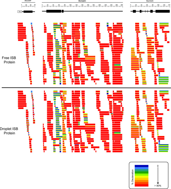 Figure 2—figure supplement 1.