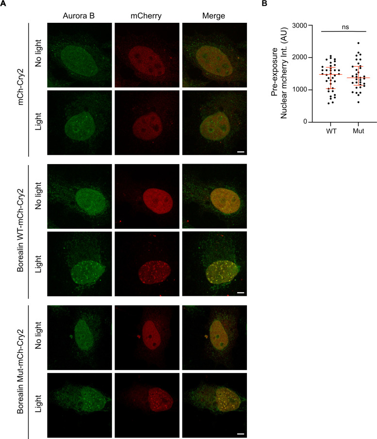 Figure 6—figure supplement 1.