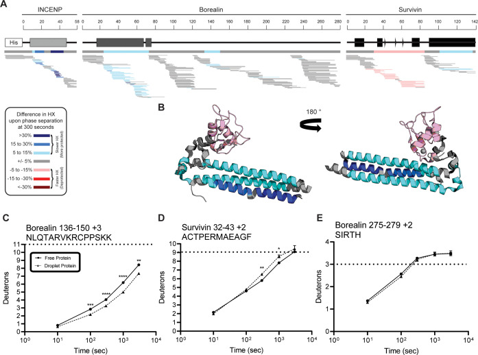 Figure 2—figure supplement 3.